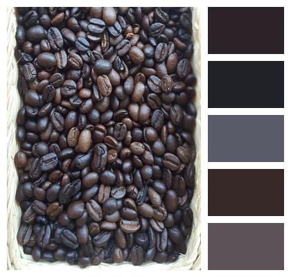 Coffee Seed Coffee Beans Image